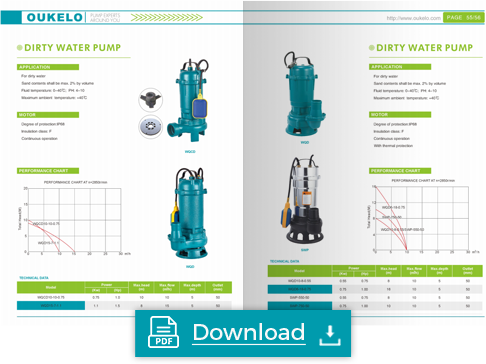 peripheral clean water pump